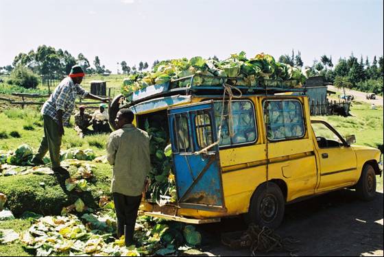 Loss of vegetables due to Improper loading and transporting